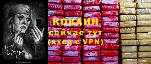 крисы Гусев