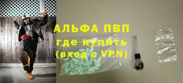 крисы Гусев