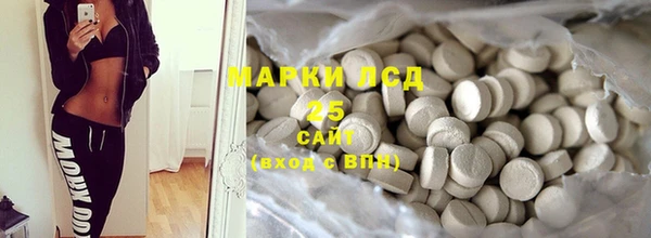 шишки Гусь-Хрустальный
