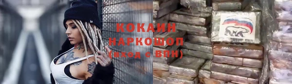 крисы Гусев