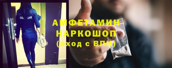 шишки Гусь-Хрустальный