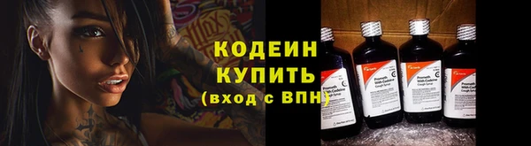 шишки Гусь-Хрустальный