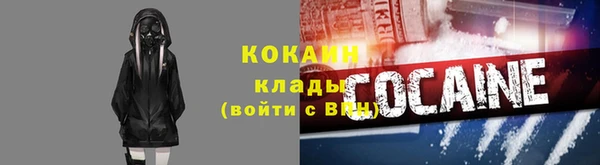 крисы Гусев