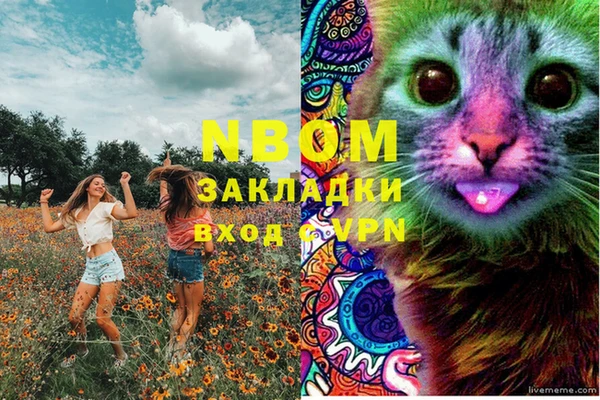 крисы Гусев