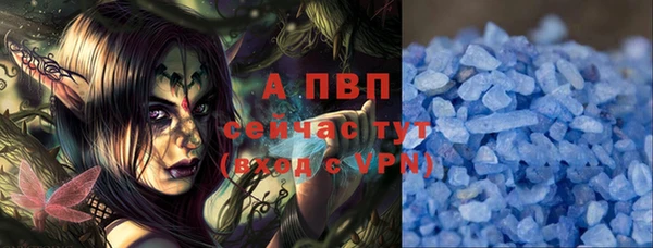 крисы Гусев