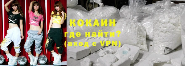 шишки Гусь-Хрустальный