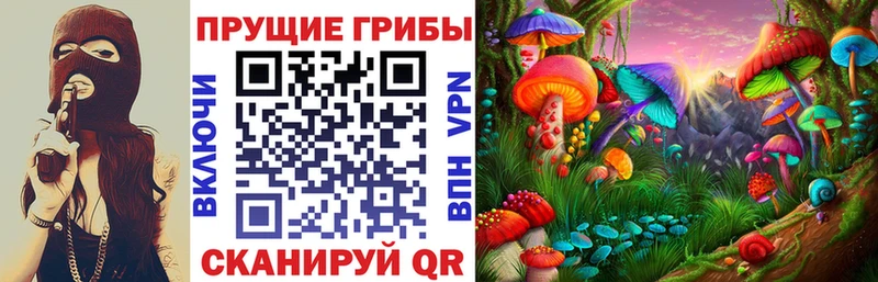 Купить  Абакан  Галлюциногенные грибы прущие грибы 